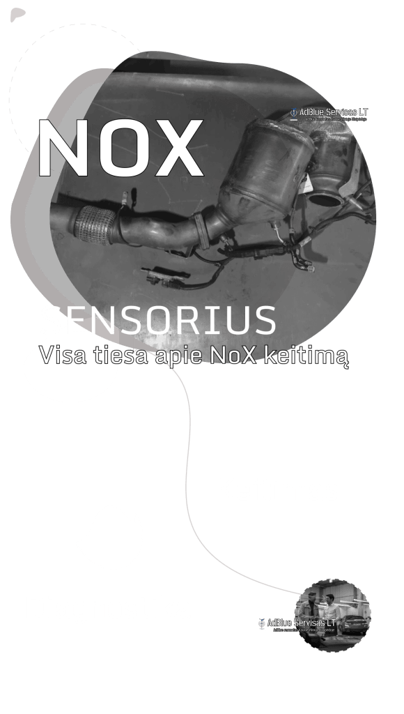 nox sensorius daviklis jutiklis kaina naujas isprogramavimas